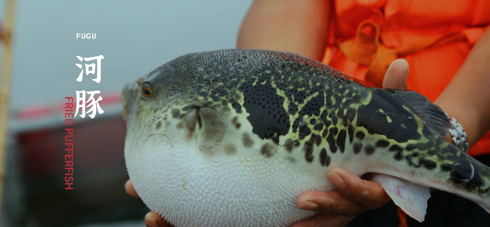 ��ʱ����-�й��ٷ���վ