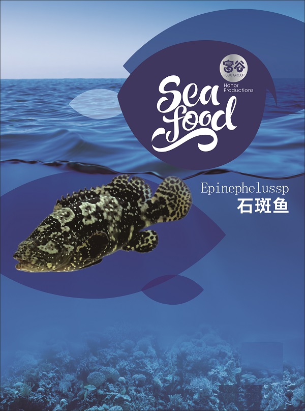 石斑鱼1.jpg